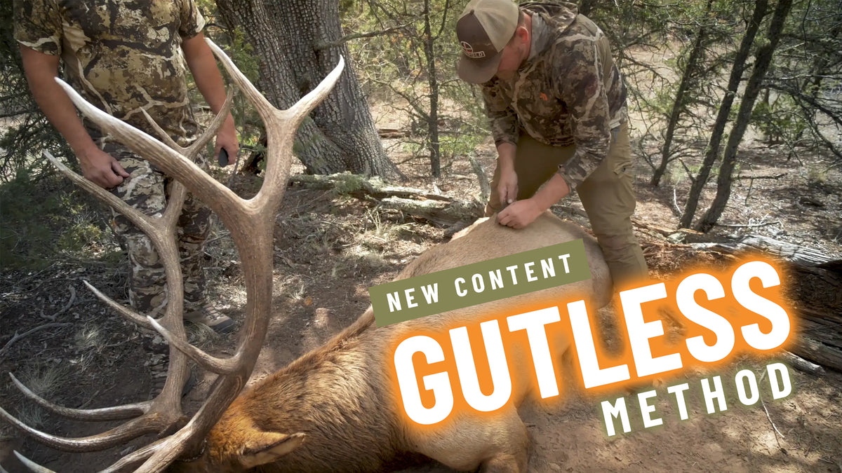Elk Gutless Method Field Care Preview The Elk Collective